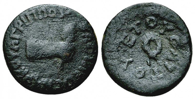 Agrippa II AE13, Caesarea Philippi (Panaeas), extremely rare 

 Agrippa II (49...