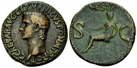 Caligula AE As, Vesta reverse 

 Caligula (37-41 AD). AE As (28 mm, 9.43 g), Rome, 37-38 AD.
Obv. C CAESAR AVG GERMANICVS PON M TR POT, bare head o...