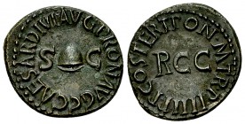 Caligula AE Quadrans 

 Caligula (37-41 AD). AE Quadrans (18-19 mm, 3.42 g), Rome, 40-41 AD.
Obv. C CAESAR DIVI AVG PRON AVG around S C and pileus....