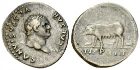 Titus AR Denarius, Sow with piglets reverse 

Vespasianus (69-79 AD) for Titus Caesar . AR Denarius (18-19 mm, 3.50 g), Rome, 77-79 AD.
Obv. T CAES...