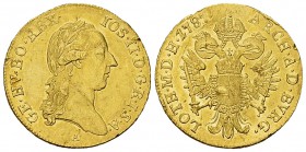 Joseph II. AV Dukat 1787 A 

Römisch-deutsches Reich. Joseph II. (1780-1790). AV Dukat 1787 A (20 mm, 3.48 g), Wien.
Fr. 299; J./J. 21.

Einige K...