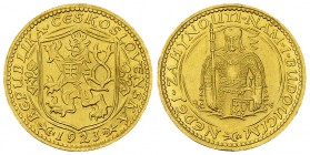 Czechoslovakia AV Ducat 1923 

 Czechoslovakia. AV Ducat 1923 (20 mm, 3.49 g).
Fr. 2.

Almost FDC.