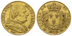 Louis XVIII AV 20 Francs 1815 A, Paris 

France, Royaume. Louis XVIII (1815-1824). AV 20 Francs 1815 A (6.40 g), Paris.
KM 706.1

TTB.