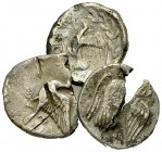 Lot of three plated Sicyon forgeries, all ex BCD 

 Sicyon , Sicyonia. Lot of three plated forgeries. 

1. 15-17 mm, 2.66 g. Drachm. 

2. 16-17 ...