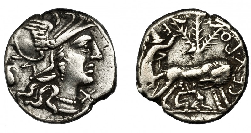REPÚBLICA ROMANA. POMPEIA. Denario. Roma (137 a.C.). R/ Loba con Rómulo y Remo, ...
