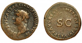 IMPERIO ROMANO. DRUSO (bajo Tito). As. Roma (80-81 d.C.). R/ SC, alrededor IMP T CAES DIVI VESP F AVG REST. AE 9,50. 29 mm. RIC-437. Fina raya en anv....