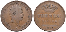 Napoli – Ferdinando II (1830-1859) - 5 Tornesi 1857 - MIR 524/7 C Con cartellino d'epoca del collezionista.
qBB