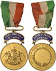 Genova – Esposizione Nazionale di sostanze alimentari - Medaglia 1906 - C In bronzo dorato. Colpetti. 5,50 cm. 110,57 grammi.
SPL