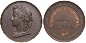 Ministero d'Agricoltura industria e commercio – Al merito - Medaglia 1908 - C In bronzo. 4,10 cm. 30,86 grammi.
SPL