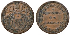 Roma – Pio VI (1775-1799) - Quattrino An. IX - Munt. 142 Var II. NC
BB