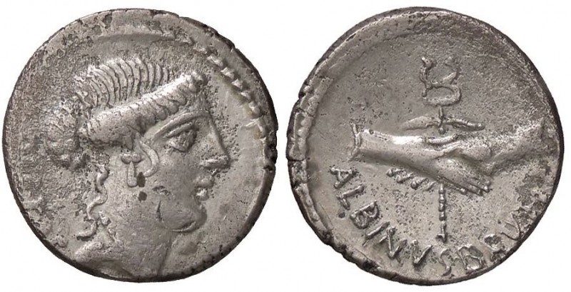 ROMANE REPUBBLICANE - POSTUMIA - C. Postumius (74 a.C.) - Denario - Testa della ...