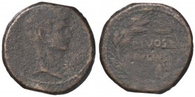 ROMANE IMPERIALI - Augusto (27 a.C.-14 d.C.) - Sesterzio - Testa a d.; davanti, una stella /R DIVOS IVLIVS entro corona C. 95; Cr. 535/2 (AE g. 17,67)...