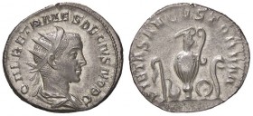 ROMANE IMPERIALI - Erennio Etrusco (251) - Antoniniano - Busto radiato e drappeggiato a d. /R Strumenti sacrificali C. 14; RIC 143 (AG g. 3,72)
 
SP...