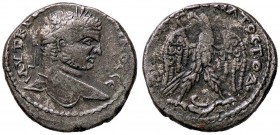 ROMANE PROVINCIALI - Caracalla (198-217) - Tetradracma (Antiochia ad Orontem) - Testa laureata a d. /R Aquila stante con testa a d. e corona nel becco...