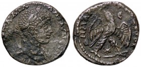ROMANE PROVINCIALI - Caracalla (198-217) - Tetradracma (Antiochia ad Orontem) - Busto laureato a d. /R Aquila stante con corona nel becco; in esergo, ...