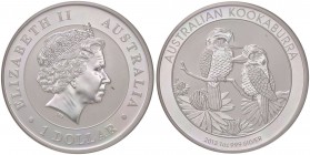 ESTERE - AUSTRALIA - Elisabetta II (1952) - Dollaro 2013 - Kokaburra Kr. 1985 AG
 
FS