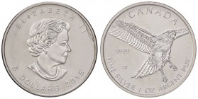ESTERE - CANADA - Elisabetta II (1952) - 5 Dollari 2015 AG
 
FDC