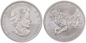 ESTERE - CANADA - Elisabetta II (1952) - 5 Dollari 2018 AG
 
FDC