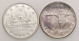 ESTERE - CANADA - Elisabetta II (1952) - Dollaro 1966 e 1967 Kr. 64.1/70 AG Lotto di 2 monete
 Lotto di 2 monete
qFDC