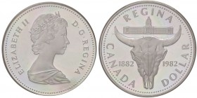 ESTERE - CANADA - Elisabetta II (1952) - Dollaro 1982 - Bucranio Kr. 133 AG In confezione
 In confezione - 
FS