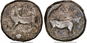 LUCANIA. Laus. Ca. 480-460 BC. AR stater (18mm, 7.80 gm, 3h). NGC Choice Fine 4/5 - 1/5 smoothing. ΛAS (retrograde), man-faced bull standing left, hea...