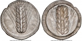 LUCANIA. Metapontum. Ca. 510-470 BC. AR stater (25mm, 12h). NGC XF, edge smoothing, die shift. META, seven-grained barley ear; guilloche border on rai...