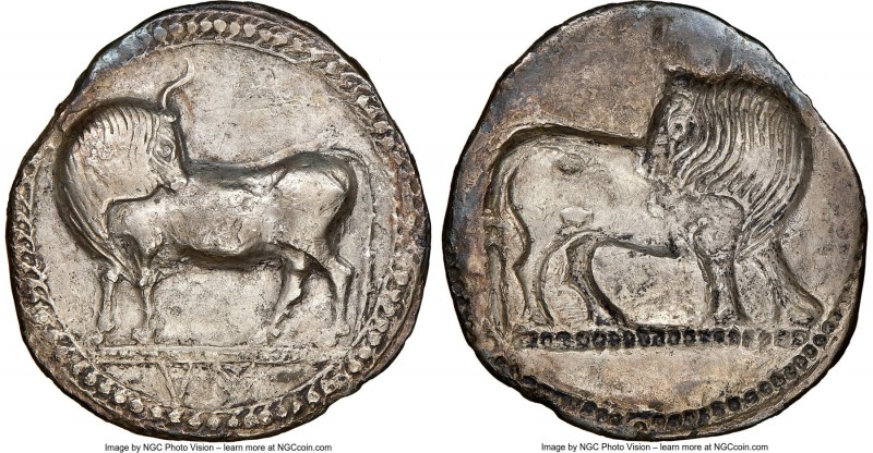 LUCANIA. Sybaris. Ca. 550-510 BC. AR stater (29mm, 6.84 gm, 12h). NGC Choice VF ...