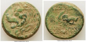 SELEUCID KINGDOM. Demetrius I Soter (162-150 BC). AE (25mm, 16.50 gm, 1h). Choice Fine. Uncertain mint, ca. 162-150 BC. Head of lion left / ΒΑΣΙΛΕΩΣ /...