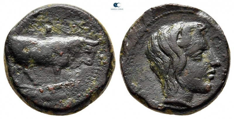 Sicily. Gela circa 420-405 BC. 
Tetras or Trionkion Æ

15 mm, 4,38 g

Bull ...