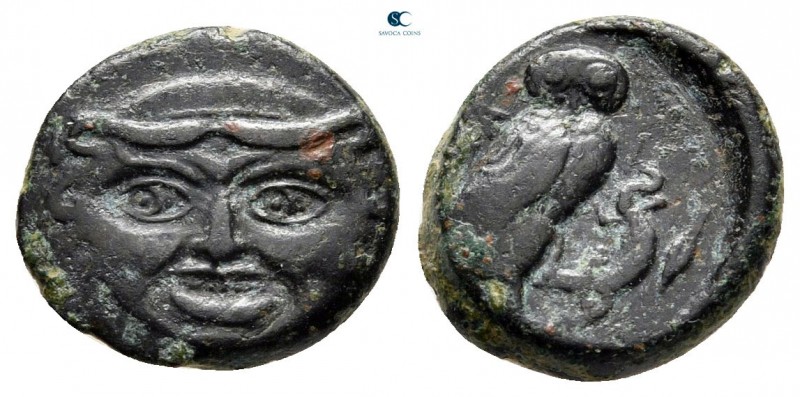 Sicily. Kamarina circa 420-405 BC. 
Tetras Æ

11 mm, 1,60 g

Facing gorgone...