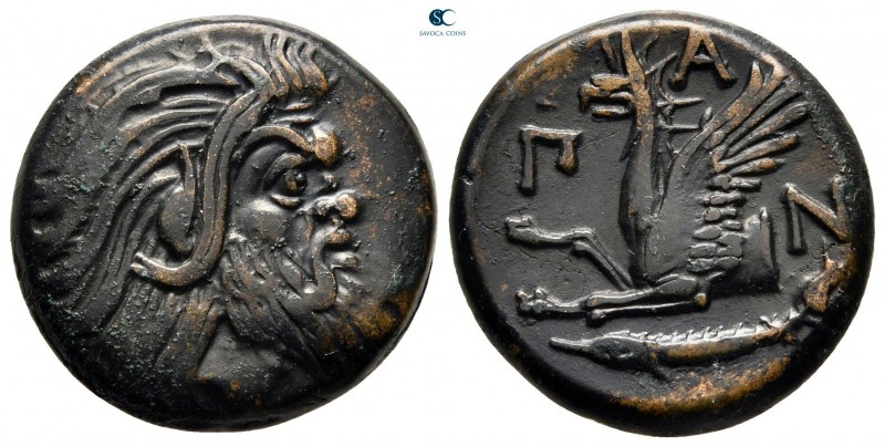 Cimmerian Bosporos. Pantikapaion circa 310-304 BC. 
Bronze Æ

22 mm, 8,08 g
...