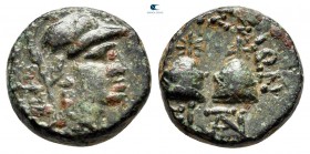 Islands off Cilicia. Elaioussa Sebaste circa 100-0 BC. Bronze Æ