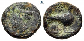 Cyprus. Paphos. Uncertain king circa 385-320 BC. Bronze Æ
