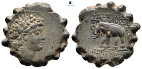 Seleukid Kingdom. Antioch on the Orontes. Antiochos VI Dionysos 144-142 BC. Serrate Æ