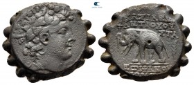 Seleukid Kingdom. Antioch on the Orontes. Antiochos VI Dionysos 144-142 BC. Serrate Æ