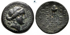 Seleucis and Pieria. Seleukeia Pieria circa 148-147 BC. Adelphoi Demi ("The Brother Peoples") issue. Bronze Æ