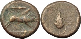 Greek Italy. Northern Apulia, Ausculum. AE 21 mm. c. 300-275 BC. Obv. Boar charging right; above, spearhead; in exergue, AYCKΛIN. Rev. Barley-ear with...