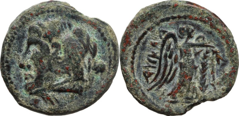 Greek Italy. Northern Apulia, Ausculum. AE 19 mm. c. 240 BC. Obv. Head of Herakl...