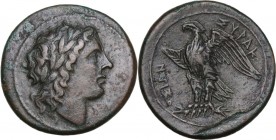 Sicily. Syracuse. Hiketas (287-278 BC). AE 24.5 mm. c. 287-278 BC. Obv. ΔIOΣ EΛΛANIOY. Laureate head of Apollo right. Rev. ΣYPAKOΣIΩN. Eagle standing ...
