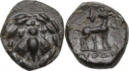 Greek Asia. Ionia, Ephesos. AE 14 mm. Civic issue. Python, Magistrate, c. 50-27 B.C. Obv. E - Φ in upper field to left and right of bee; all within la...