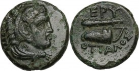 Greek Asia. Ionia, Erythrai. AE 12mm. Ottalos, magistrate circa 4th century BC,. Obv. Head of Herakles right, wearing lion skin. Rev. EPY / OTTAΛOΣ.Cl...