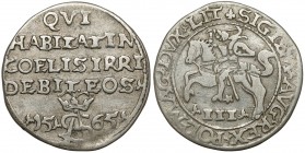 Zygmunt II August, Trojak Tykocin 1565 - 'Szyderczy' Poszukiwany i ceniony trojak nazywany przez lata szyderczym. Charakterystyczna moneta, której awe...