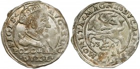 Zygmunt II August, Grosz na stopę polską 1567, Tykocin - PIĘKNY Wyjątkowej urody egzemplarz. 
 Drugi rocznik tykocińskich groszy, w pięknym stanie za...