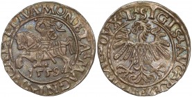 Zygmunt II August, Półgrosz Wilno 1559 - LITVA - rzadki Rzadka odmiana legendowa dla tego rocznika (L / LITVA). Reference: Ivanauskas-Cesnulis 4SA87-2...