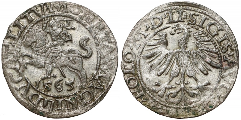 Zygmunt II August, Półgrosz Wilno 1565 - z Toporem - 156/55 Moneta o bardzo ładn...