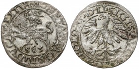 Zygmunt II August, Półgrosz Wilno 1565 - z Toporem - 156/55 Moneta o bardzo ładnej prezencji, jednak z wydrapanym zabrudzeniem między głową, a ręką je...