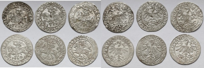 Zygmunt II August, Półgrosz Wilno 1557-1565 ŁADNE (6szt) Zestaw ładnych egzempla...