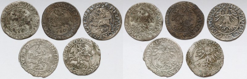 Zygmunt II August, Półgrosz Wilno 1560-64 - zestaw (5szt) W zestawie roczniki 15...