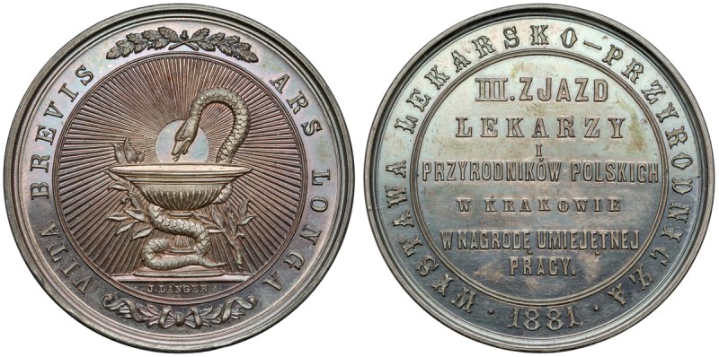 Medal Wystawa Lekarsko-Przyrodnicza, Kraków 1881 - PIĘKNY Wyśmienitej prezencji ...