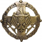 Odznaka Za Wołyń - Styr Horyń Słucz - 1919 Odznaka jednoczęściowa, bita z kontrą. Mosiądz srebrzony, wyraźne, miejscowe starcia srebrzenia w trakcie n...